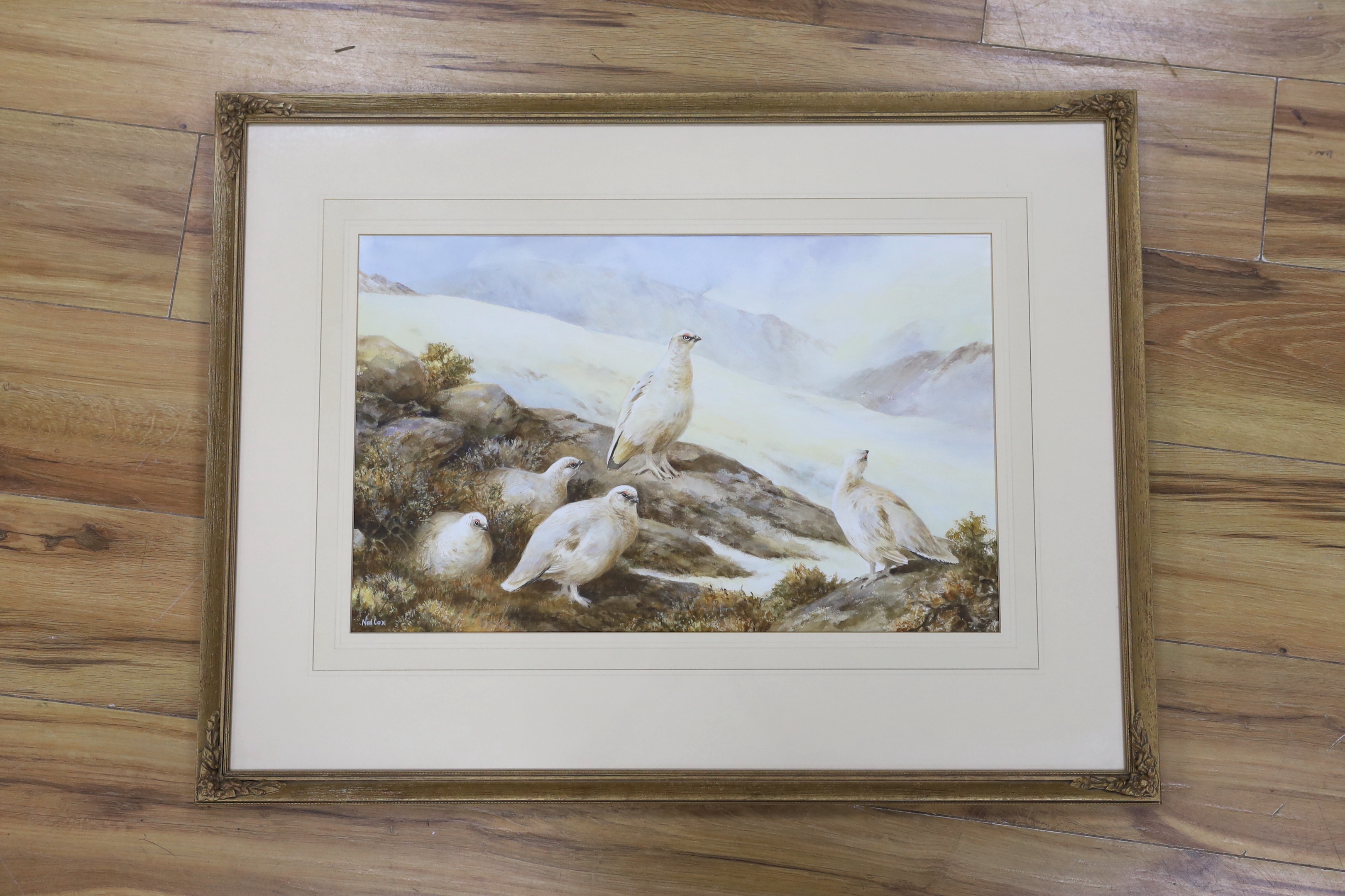 Neil Cox (b. 1955), watercolour, Ptarmigan, signed, 32 x 52cm